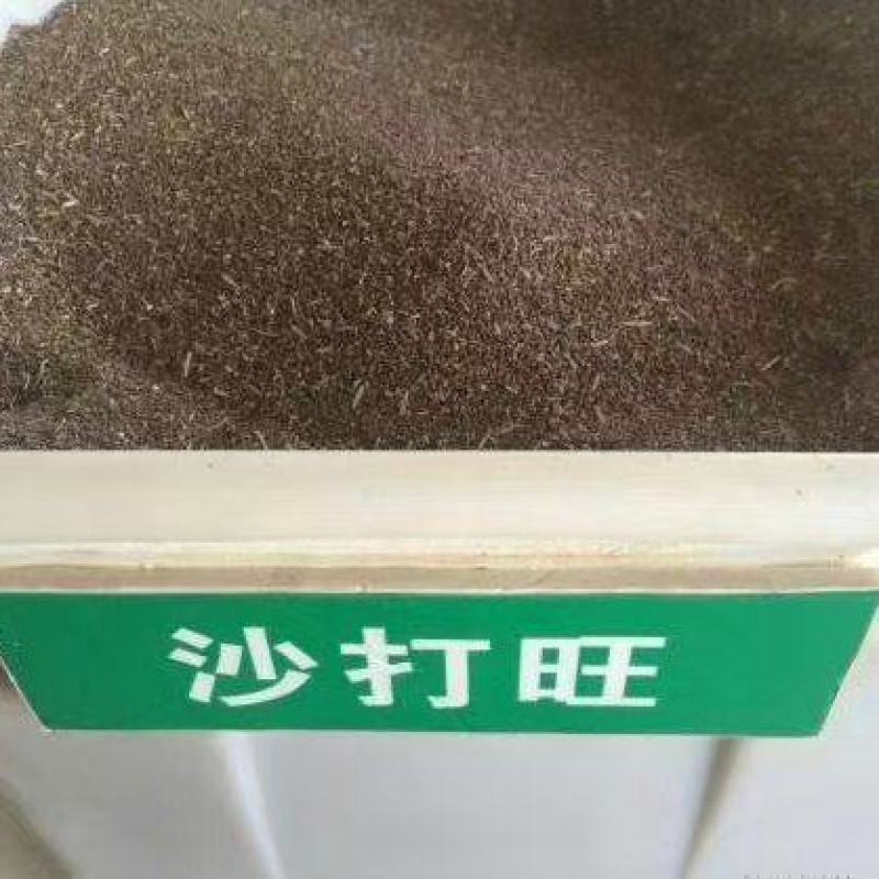 沙打旺种子护坡固土保水养殖，绿化，绿肥均可，生命力顽强