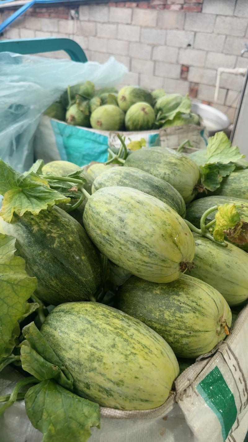 甜如蜜【热卖中】甜，脆，香，绿肉，绿瓤，个头一斤左右