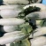 羊角密【热卖中】脆，甜，个头一斤左右，对接电商，市场，超市