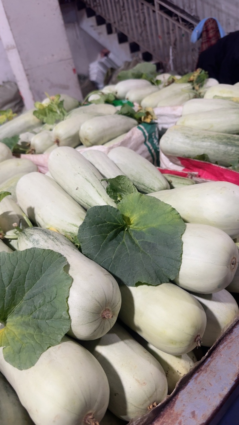 羊角密【热卖中】脆，甜，个头一斤左右，对接电商，市场，超市