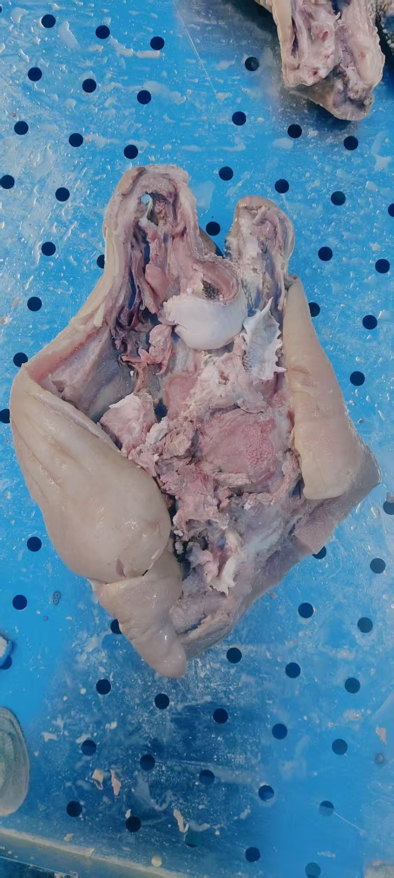 【熟牛头肉】河南全熟带皮牛头肉产地直发品质保障可视频看货