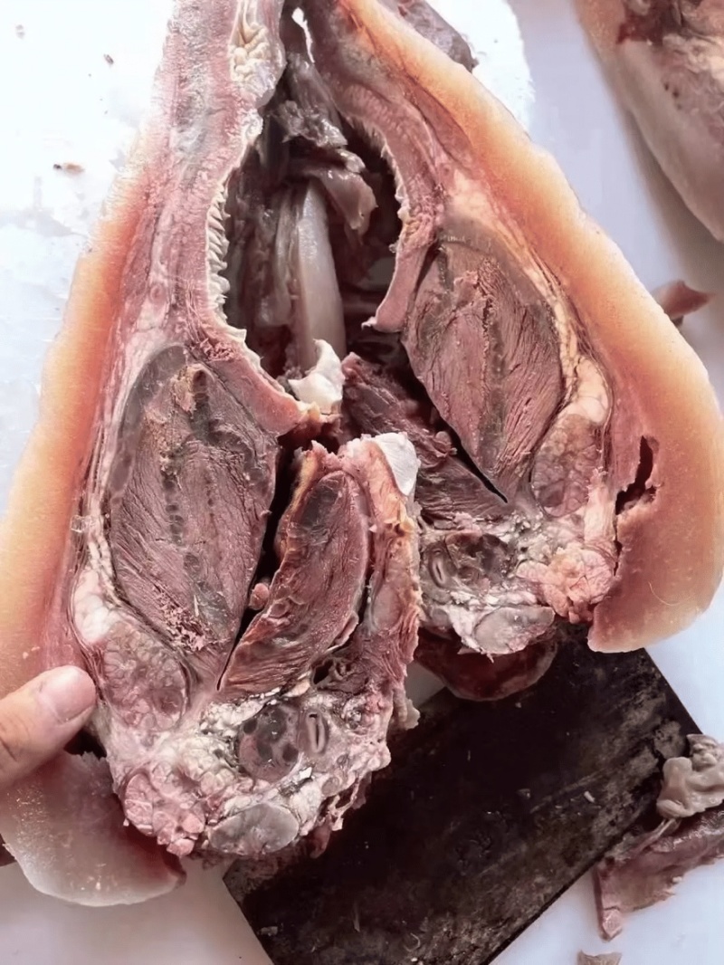 【熟牛头肉】河南全熟带皮牛头肉产地直发品质保障可视频看货