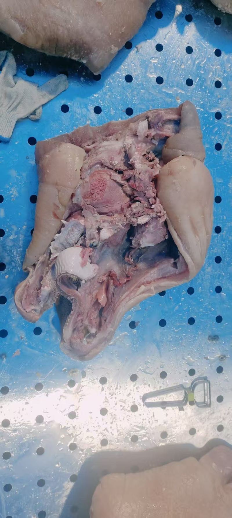 【熟牛头肉】河南全熟带皮牛头肉产地直发品质保障可视频看货