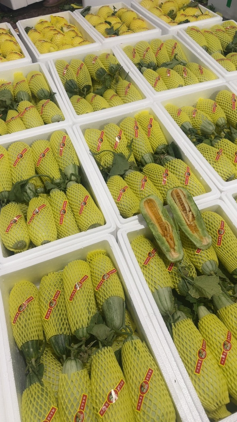 羊角密【热卖中】脆，甜，个头一斤左右，对接电商，市场，超市