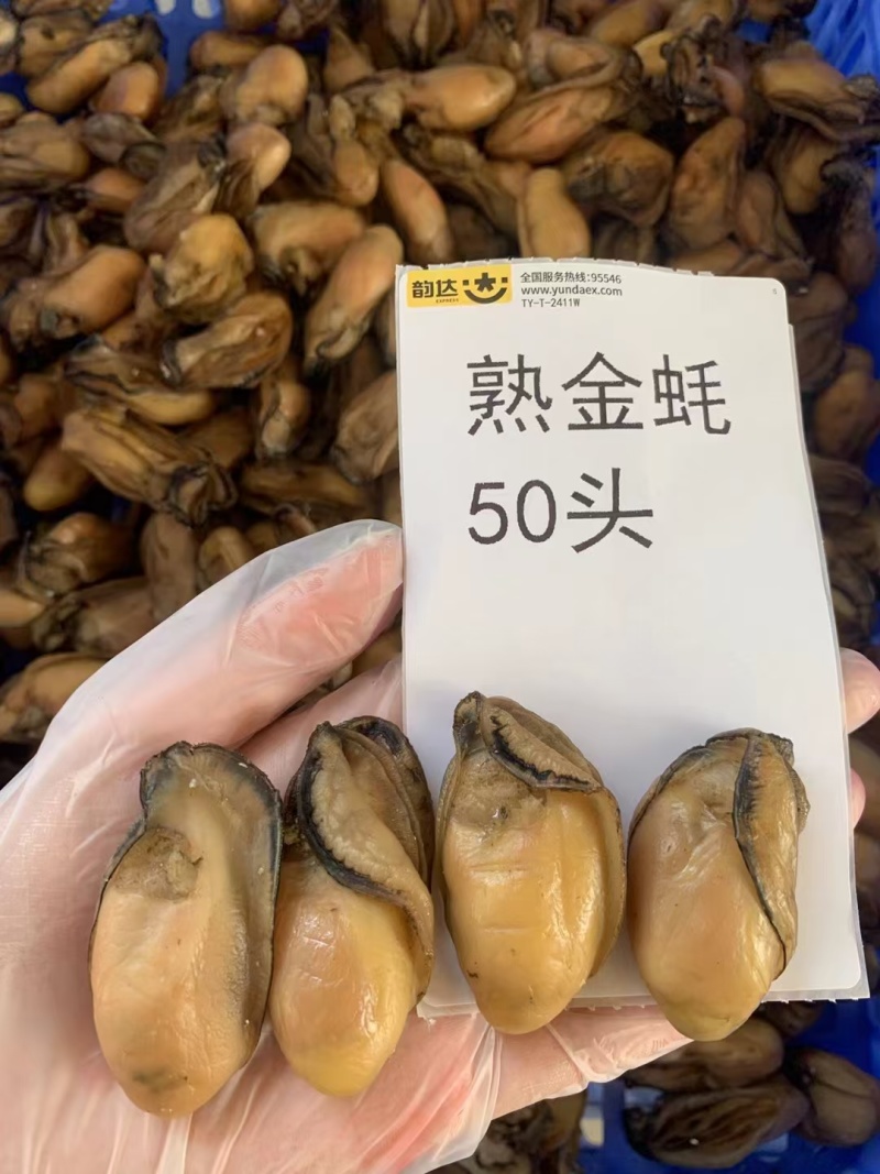 熟金蚝口感：肥美不腻，柔嫩紧致，甘香有弹性‌。