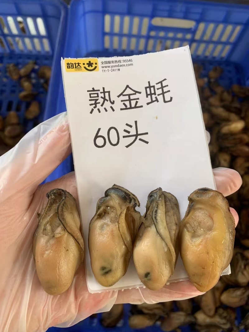 熟金蚝口感：肥美不腻，柔嫩紧致，甘香有弹性‌。