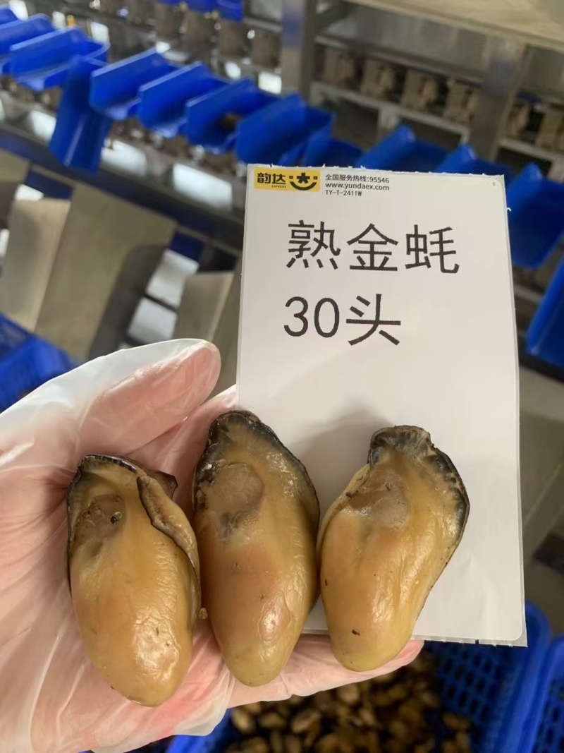 熟金蚝口感：肥美不腻，柔嫩紧致，甘香有弹性‌。