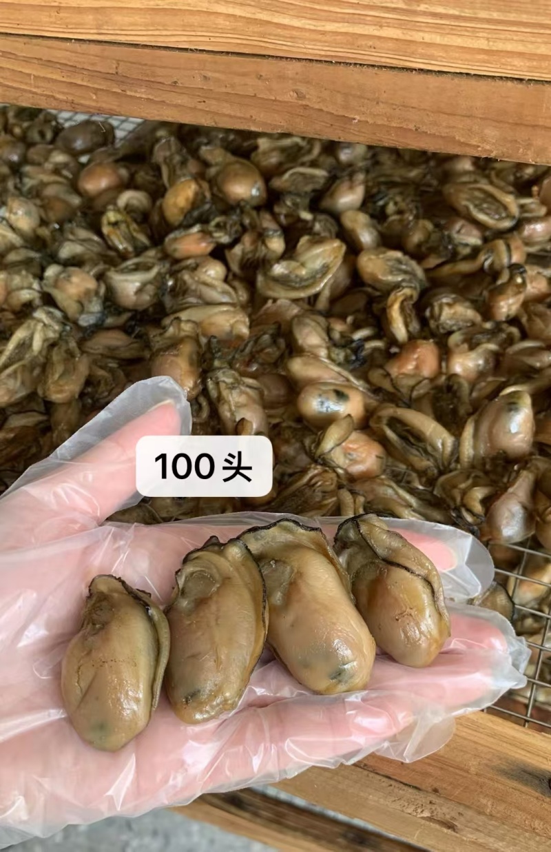 熟金蚝口感：肥美不腻，柔嫩紧致，甘香有弹性‌。