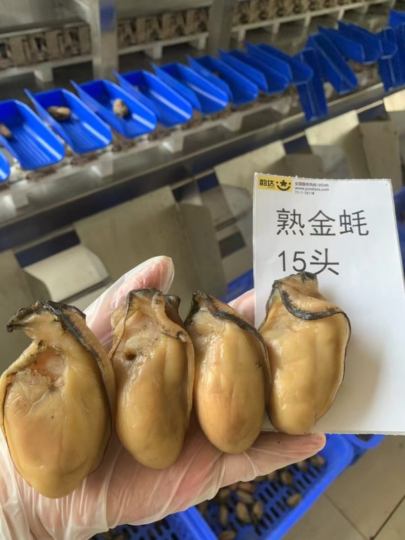 熟金蚝口感：肥美不腻，柔嫩紧致，甘香有弹性‌。