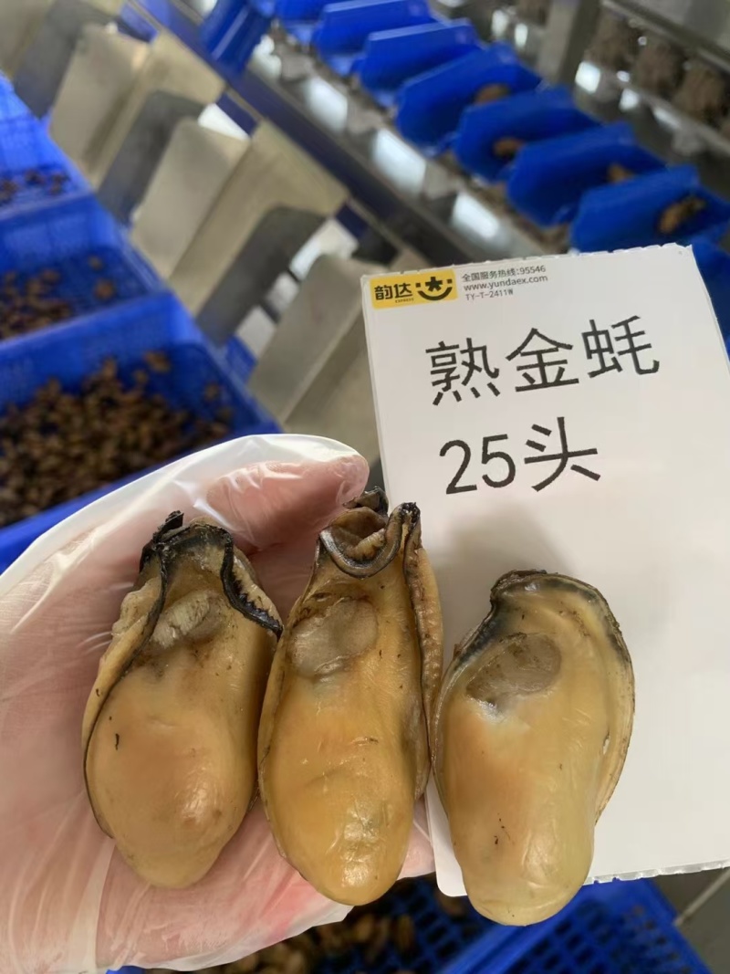 熟金蚝口感：肥美不腻，柔嫩紧致，甘香有弹性‌。