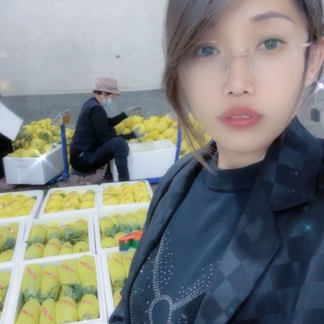 羊角密【热卖中】脆，甜，个头一斤左右，对接电商，市场，超市