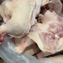 单冻排腿