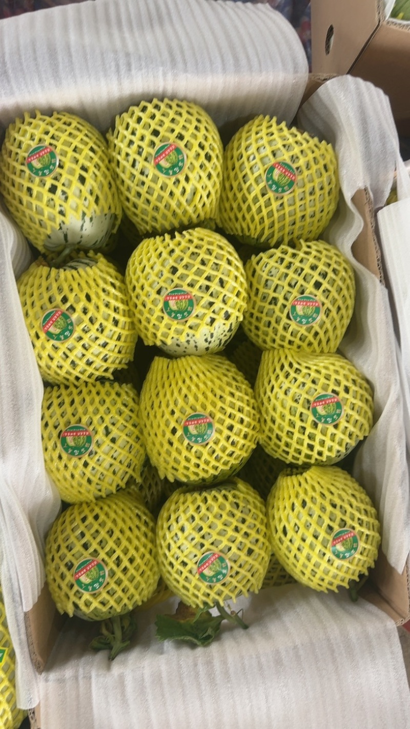 花美人【热卖中】甜，脆，对接电商，市场，超市，社团