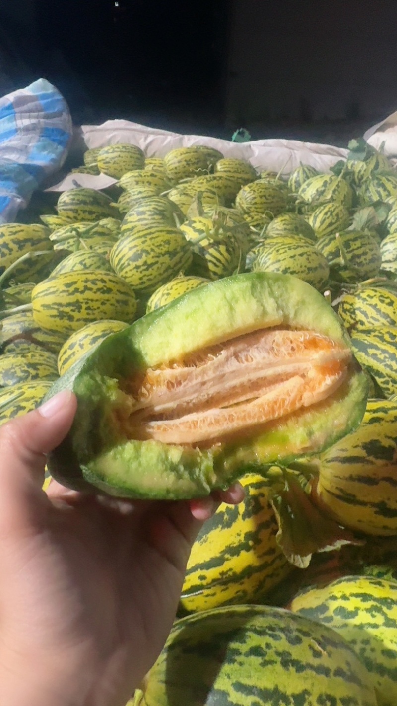 花美人【热卖中】甜，脆，对接电商，市场，超市，社团