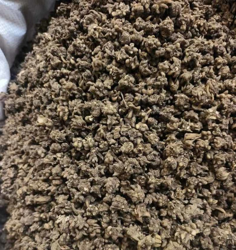 野生猫爪草无硫批发零售源头直供诚信经营