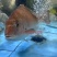 鲜活包公鱼珍雕鱼龙胆鱼加吉鱼