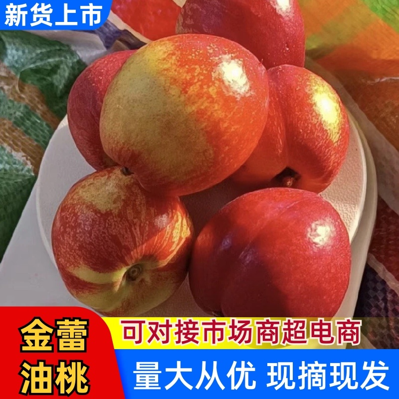 湖北新鲜上市金蕾油桃中油油桃品种齐全毛桃价格低发市场商超
