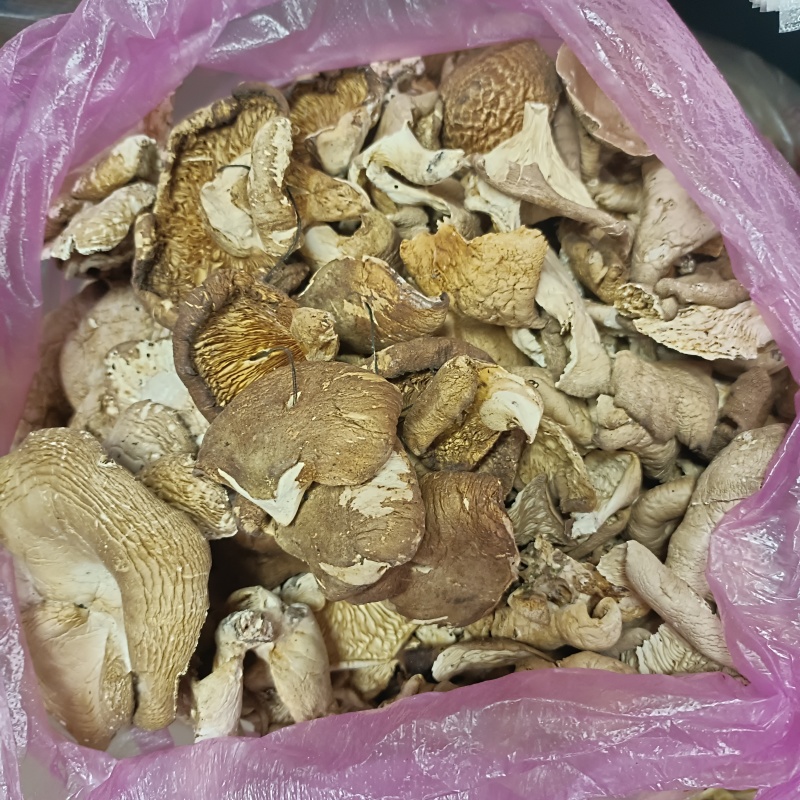 东北纯野生干货深林木头生长元蘑自然嗮干小鸡炖蘑菇味美可口