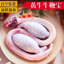 黄牛农家牛鞭冷冻牛宝睾丸牛蛋整根新鲜整套三宝现杀速冻包邮