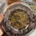 【精品】金线莲干度颜色好无碎林下种植一手货源质量保证
