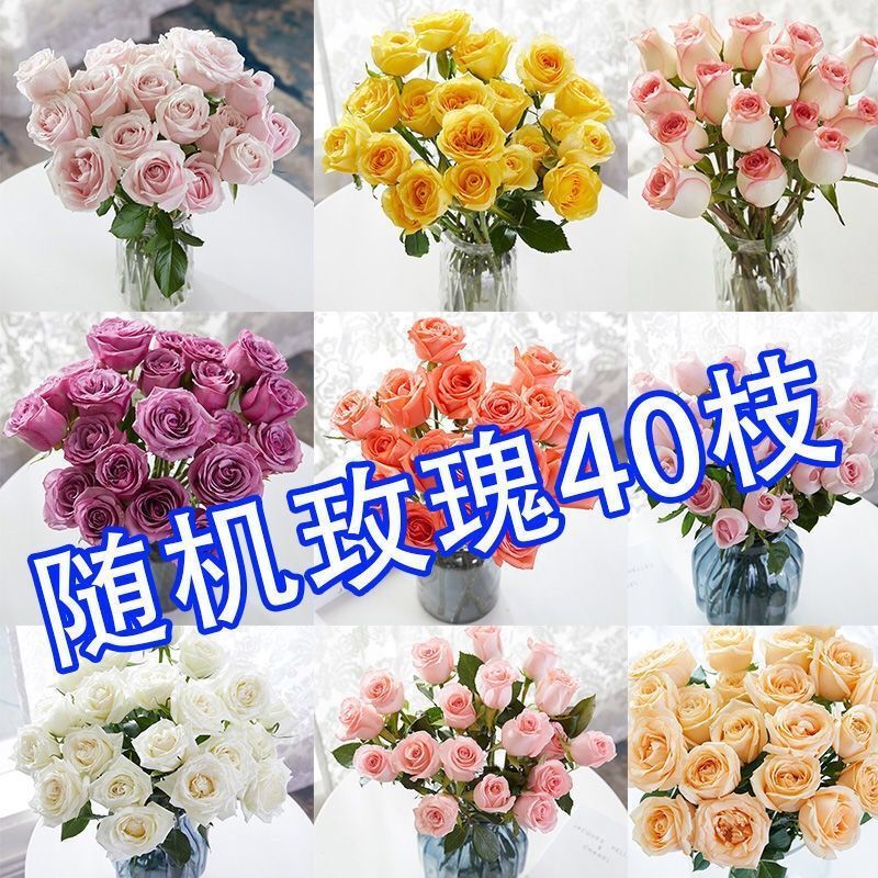 真花玫瑰花云南鲜切花昆明基地直发批发家用水养客厅花束速递