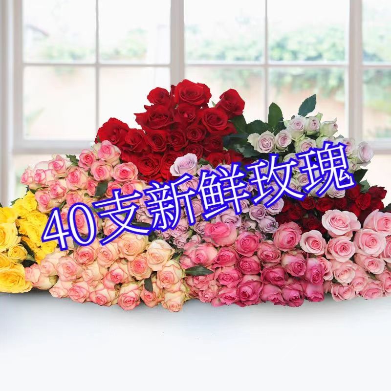 真花玫瑰花云南鲜切花昆明基地直发批发家用水养客厅花束速递