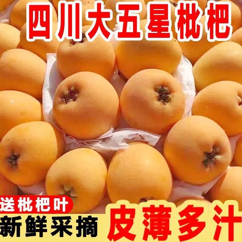 枇杷新鲜枇杷，对接团购抖音直播多多买菜，电商代发