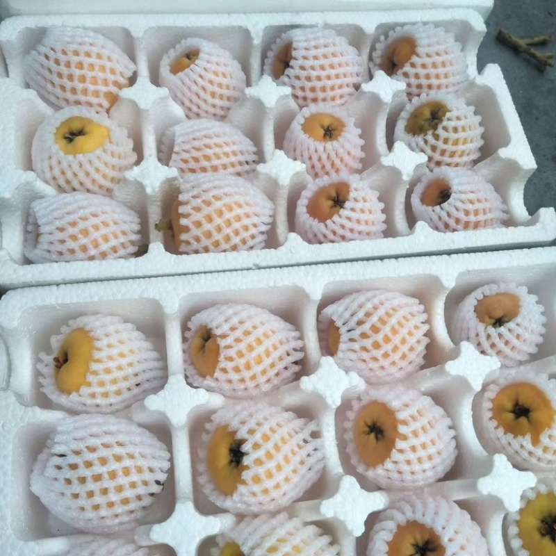 枇杷新鲜枇杷，对接团购抖音直播多多买菜，电商代发