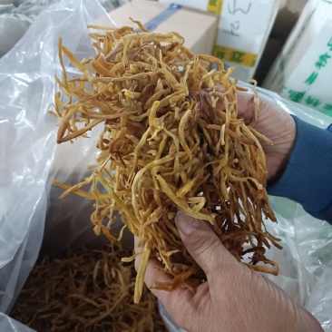东北纯野生黄花菜菌香味十足自然嗮干炖汤炒菜***干货黄花