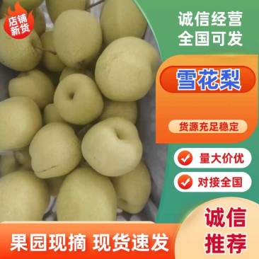 雪花梨甜度高品质好量大从优可支持视频看货
