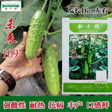 未来109黄瓜种子强雌耐高温浅翠绿油亮甜脆水果黄瓜种籽