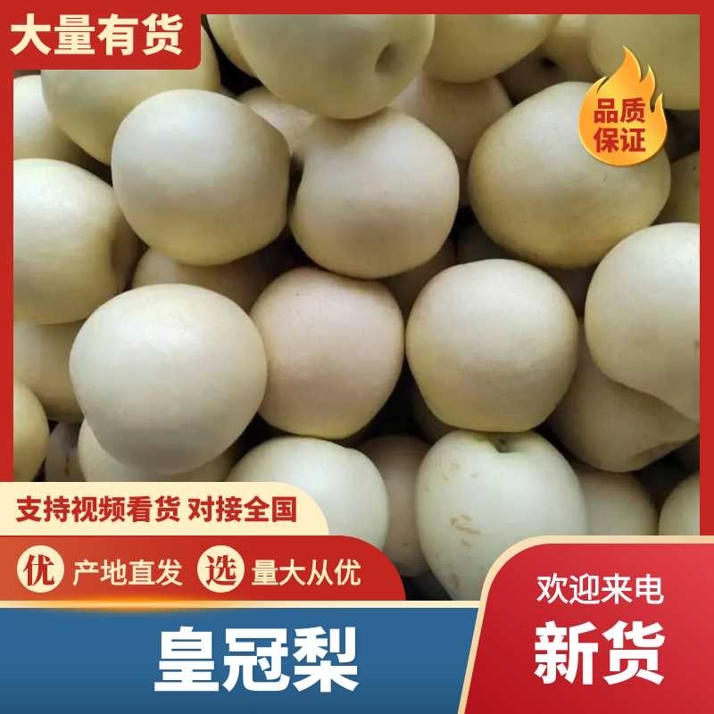 皇冠梨套袋品质优甜度高可视频看货欢迎选购