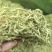 25新货正宗嫩芽金银花批发头茬手选金银花干货去火清热花茶