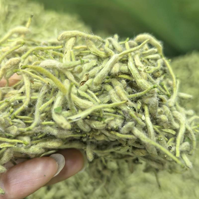 25新货正宗嫩芽金银花批发头茬手选金银花干货去火清热花茶