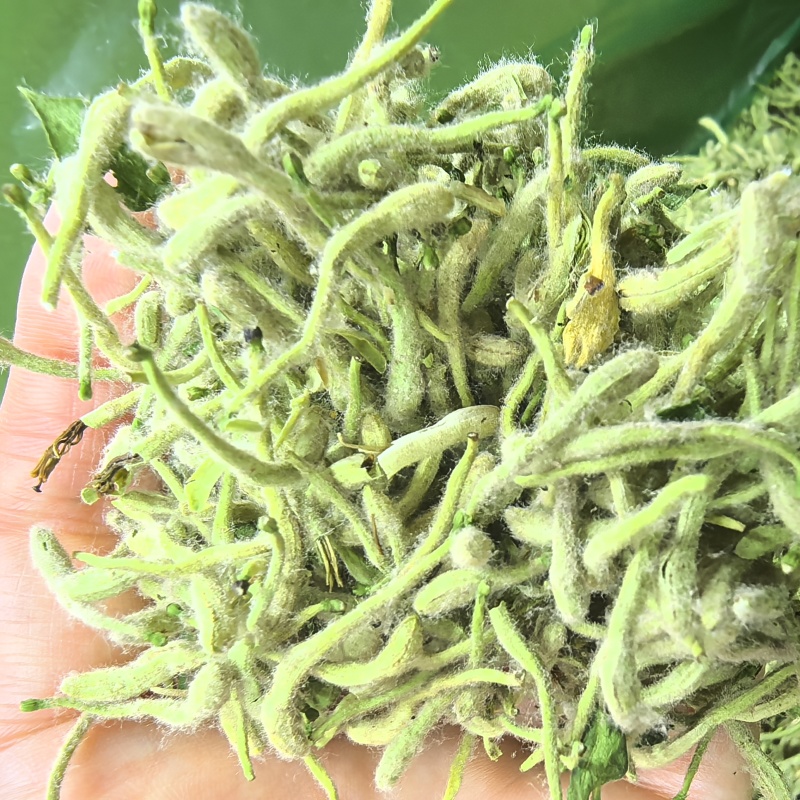 25新货正宗嫩芽金银花批发头茬手选金银花干货去火清热花茶