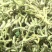 25新货正宗嫩芽金银花批发头茬手选金银花干货去火清热花茶
