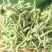 25新货正宗嫩芽金银花批发头茬手选金银花干货去火清热花茶
