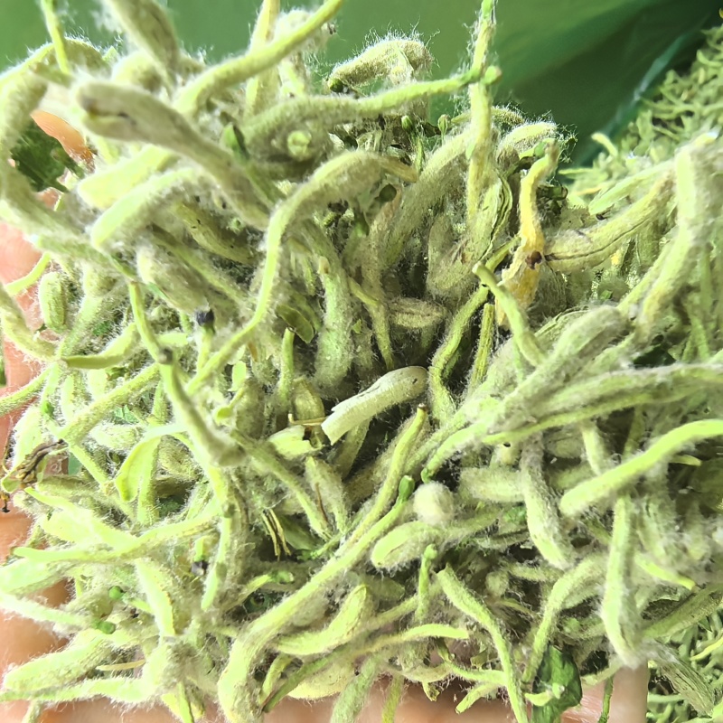 25新货正宗嫩芽金银花批发头茬手选金银花干货去火清热花茶