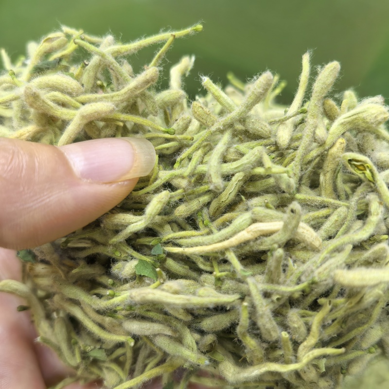 25新货正宗嫩芽金银花批发头茬手选金银花干货去火清热花茶
