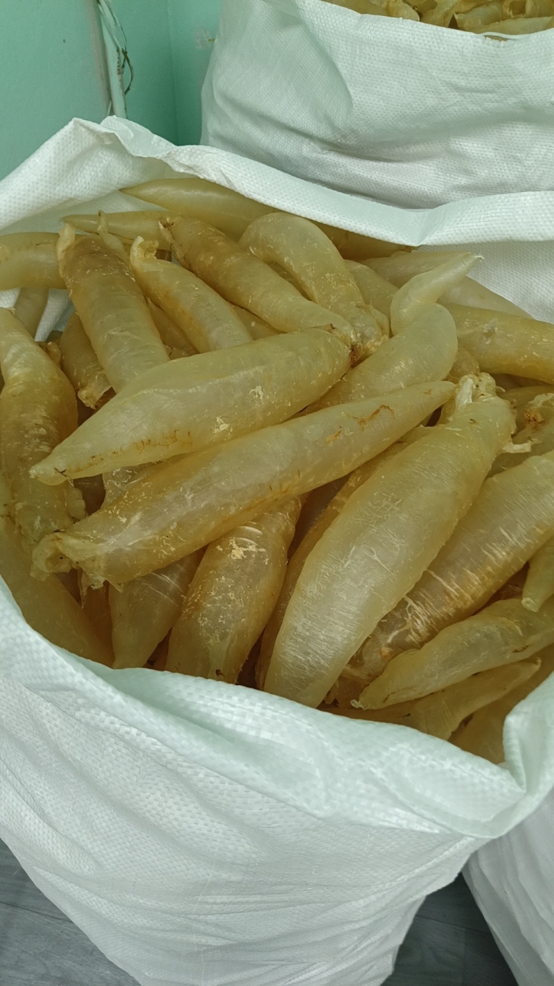 北海胶北海筒胶鱼胶花胶鳘鱼胶产地源头直供一手代理货源