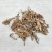岩白菜黄毛状岩白菜叶干货量大优惠
