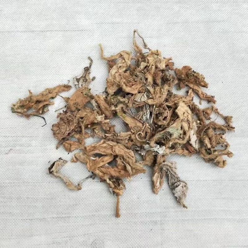 岩白菜黄毛状岩白菜叶干货量大优惠