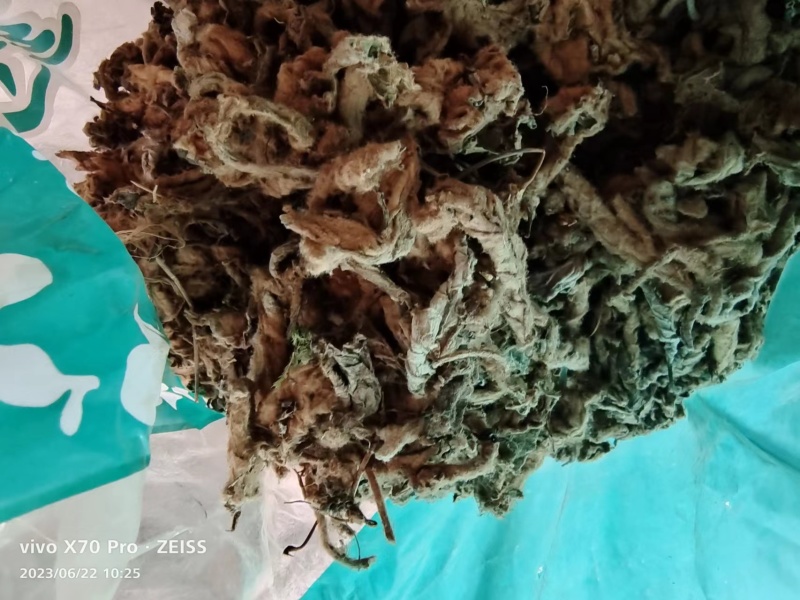 岩白菜黄毛状岩白菜叶干货量大优惠