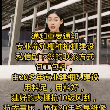 专业团队搭建鸭棚鸡棚各种养殖棚种植棚