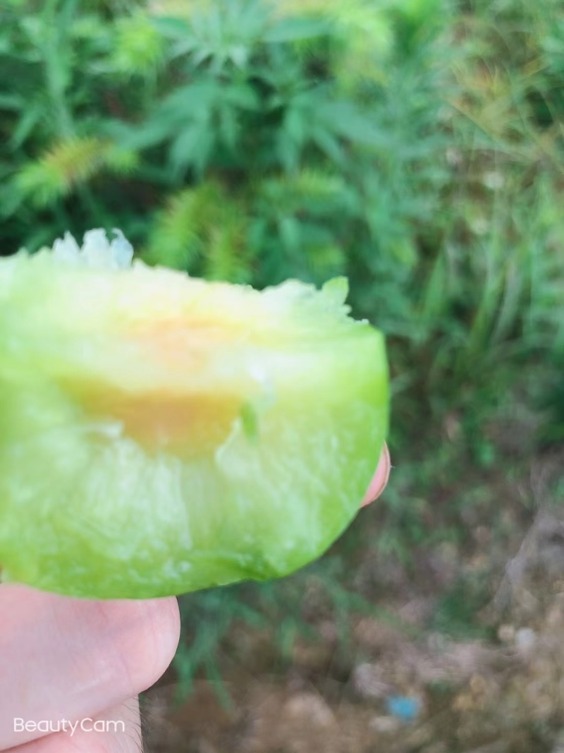 奈李