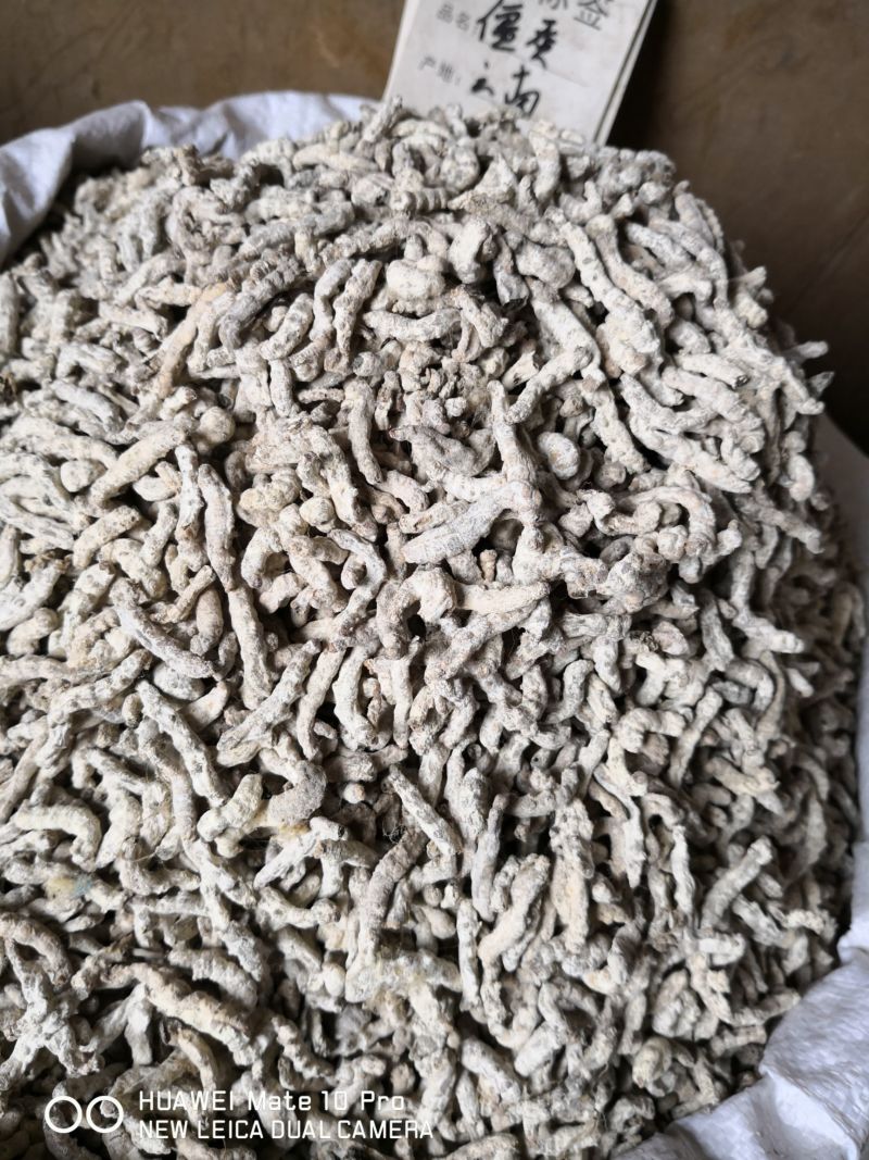 水洗僵蚕大个选货含量足干货量大优惠