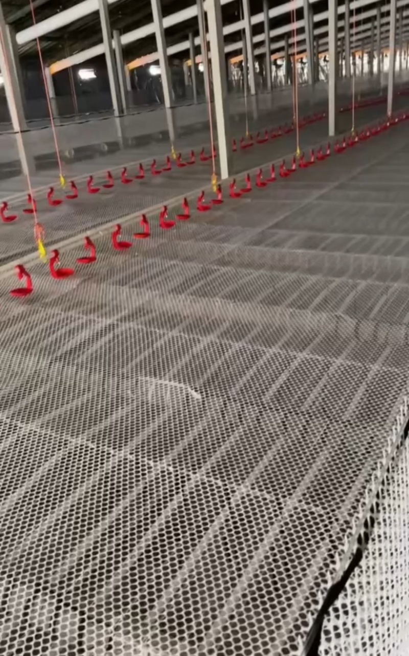 专业团队搭建鸭棚鸡棚各种养殖棚种植棚