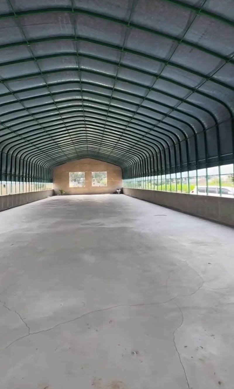专业团队搭建鸭棚鸡棚各种养殖棚种植棚