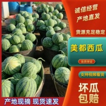 【优质推荐】8424美都西瓜即将开售！量大从优欢迎咨询