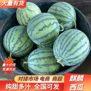 【优质推荐】麒麟西瓜即将开园！量大从优保质保量欢迎来电